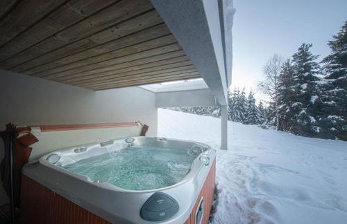 Chalet familial spacieux avec SPA, salle de jeux, près des pistes - 14 pers, Vosges - FR-1-589-366 - Foto 16