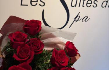 Suite du Spa 3 - Parking Privé Gratuit à Reims - Foto 16