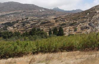 ''Sea front'' Rose's house - Foto 27