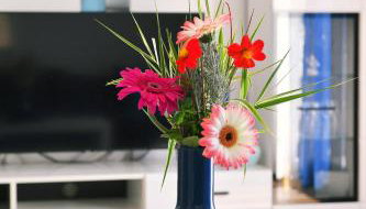 Apartman SÙŠANJ - Foto 2