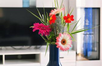 Apartman SÙŠANJ - Foto 2