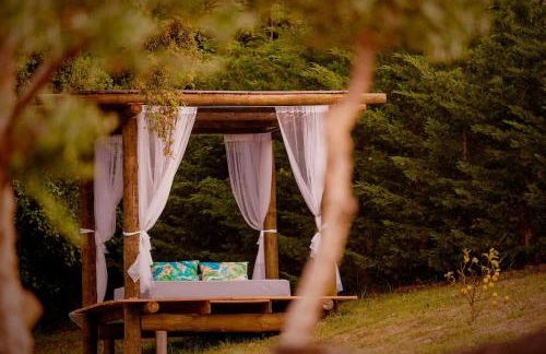 Arrabia Bunga Douro - Foto 11