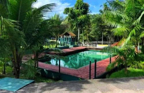 Apartamento amazônico COP30 - Foto 4