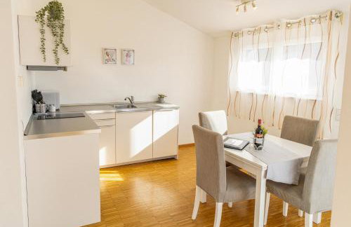 Apartment, close to Europa Park, Alsace, Black Forest, family friendly, dogs allowed - Foto 18