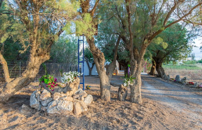 Aadonis Villa - Foto 34