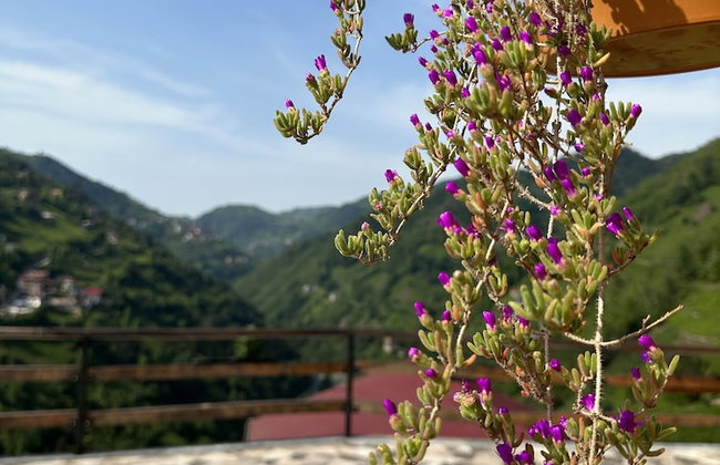 Puleri Dağ Evi - Foto 52