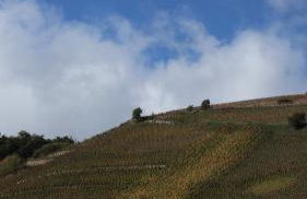 Gîte Clusel-Roch 6 personnes au cœur des Côte-Rôtie - Foto 8