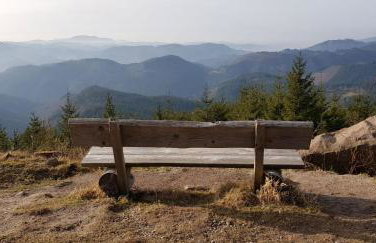 Ferienwohnung Hirschlein mit Schwarzwaldblick in Baiersbronn - Foto 28