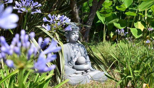 Taormina Villa Ibiscus Alcantara - Foto 5, Garden