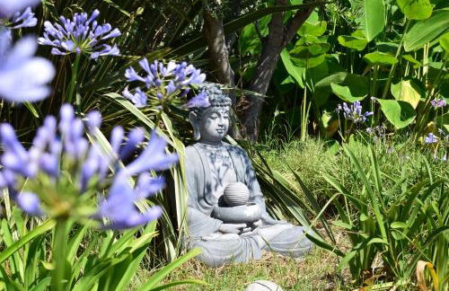 Taormina Villa Ibiscus Alcantara - Foto 5