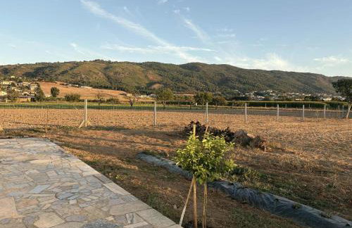 Bem estar 3 - Foto 7