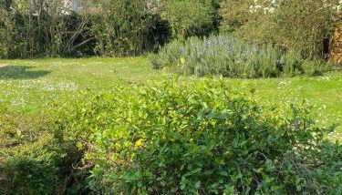 Villa des courses - Piscine et Jardin - Foto 3, Garden, Garden view
