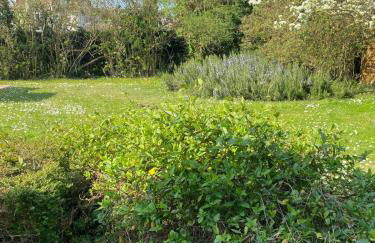 Villa des courses - Piscine et Jardin - Foto 3
