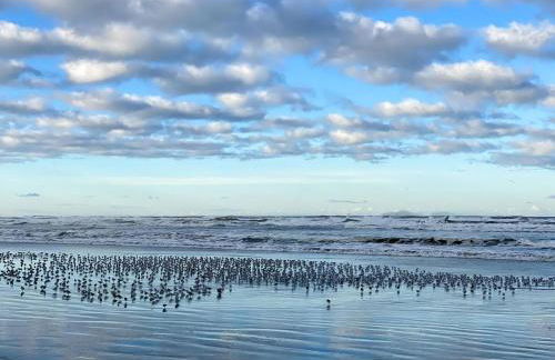 Tidal House #4 - Ocean Shores Chalet - Foto 20