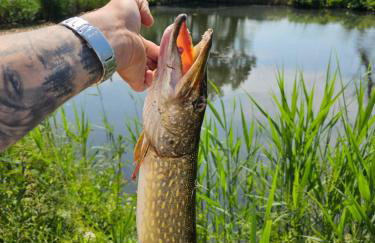 Gościniec Wędkarski Sieja - Foto 33