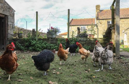 Church Farm Annex - Foto 11