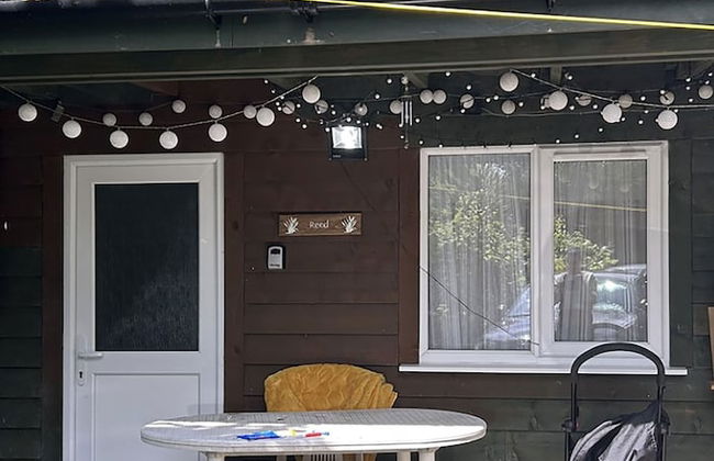 Reed by Paymán Club - Photo 4