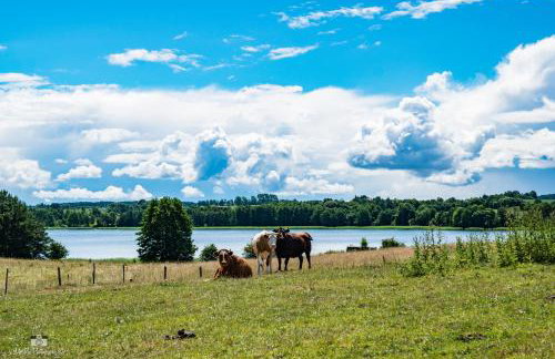 Zielna Farma - Foto 7