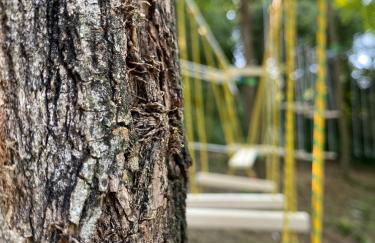 Cascina Teresina Monferrato Piscina - Foto 8