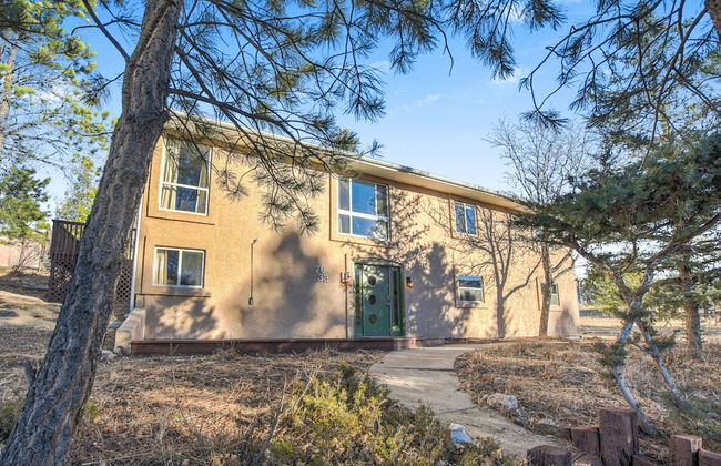 Thunderbird - Foto 39