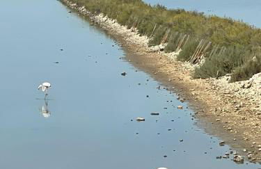 A casa di nonna Rosaria - Foto 16