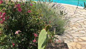 Casa delle Rondini - Photo 5, Garden