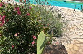 Casa delle Rondini - Photo 5