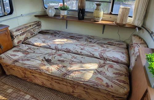 Avion on the Arkansas at Twisted Tree - Foto 22