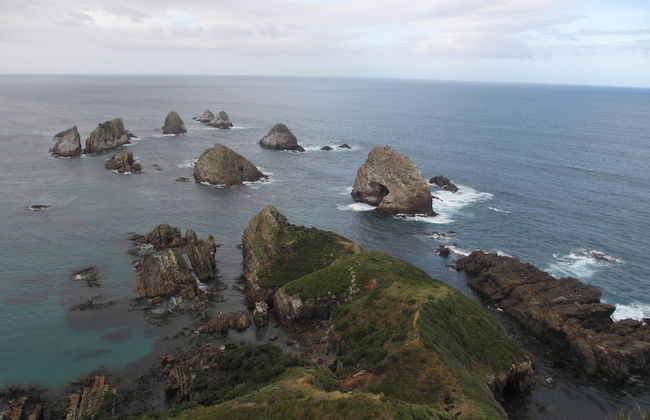 Catlins Lake Sanctuary - Foto 14