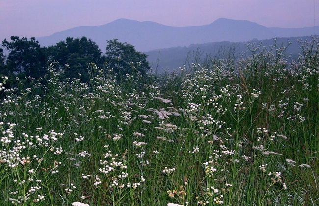 DeHart Cabin - Foto 10