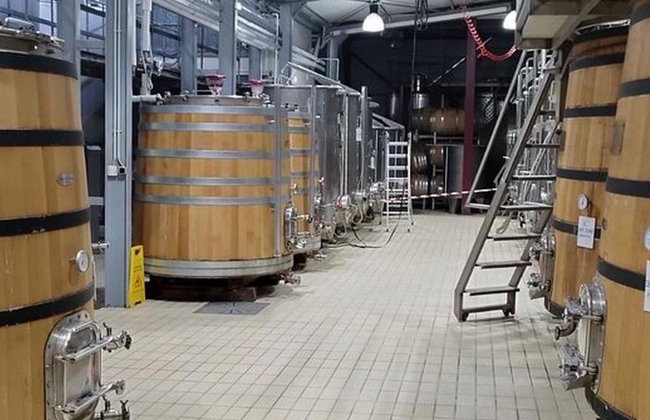 Vergina, Naousa and Edessa - Full-Day Private Tour - Foto 6