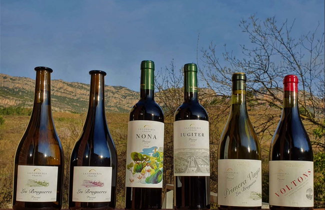 Visita a la bodega La Conreria - Foto 3