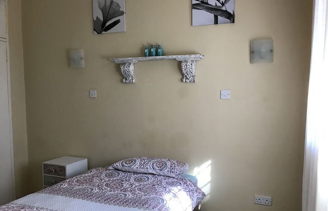 Vintage Palm - Foto 3