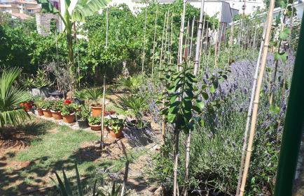 Levak Apartments - Apt.3 - Photo 28