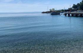 La maison-blanche - Photo 30