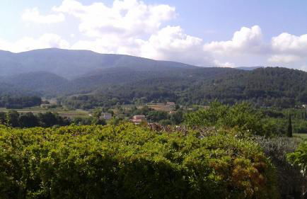 Villa l'Edenca - Foto 45