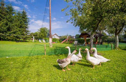 Bieszczadzki Krakowiak 575-894-584 lub 535-595-732 - Photo 54