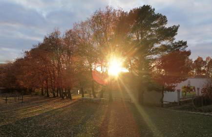 Eco Urbión - Foto 13