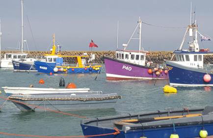 Folkestone harbour view - Foto 34
