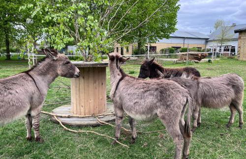 Wohnen im ehemaligen Kuhstall Stiehler Farm - Foto 35