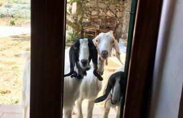 Agriturismo LaValleggia - Foto 31