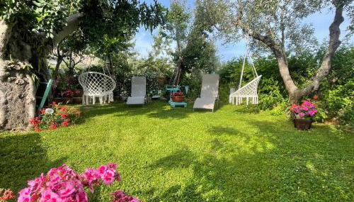 B&B Case Vacanza Orchidea marina di Macchia a Mattinata Gargano - Foto 3, Garden