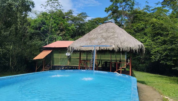 4-Day Amazon River Cruise - Foto 5