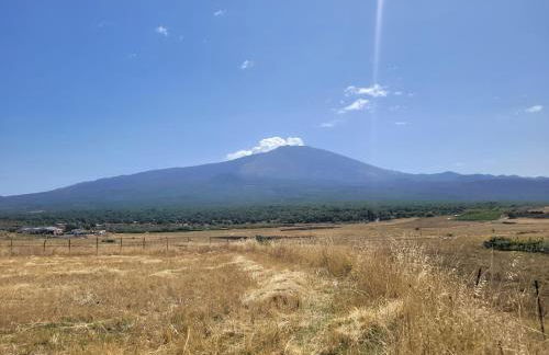 Typical house in a Sicilian village - Photo 27