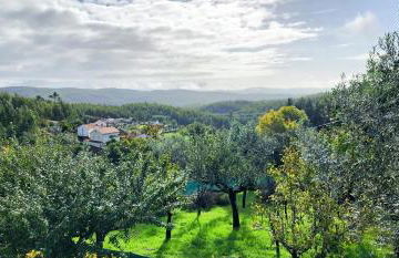 A Quinta da Colina Adega - Foto 26