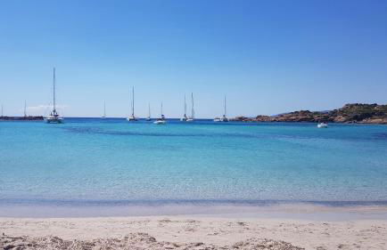 Les Studios de Fiori - Studios et Appartement T2 - Cala Rossa - proche Porto Vecchio - Foto 44