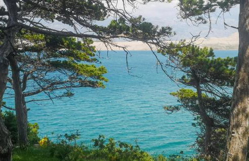 Cozy Apartment In Novalja With Wifi - Photo 22