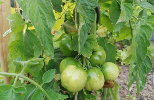 Villa Hinterland - Foto 15