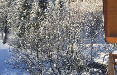 Casa Dalsass - Photo 31