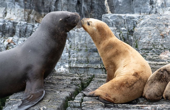 Riviera Fueguina Apartments - Foto 65